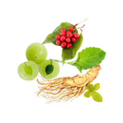 7 Additional Powerful Herbs
