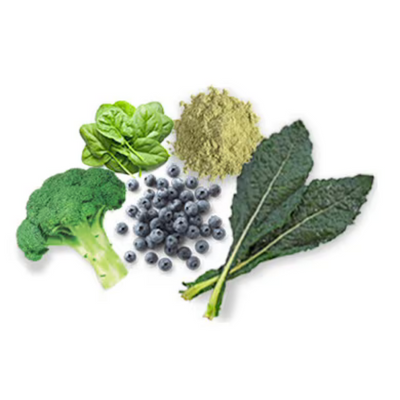 Essential Vitamins & Minerals