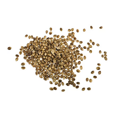 Organic Hemp Protein