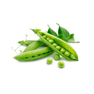 Organic Pea Protein Isolate
