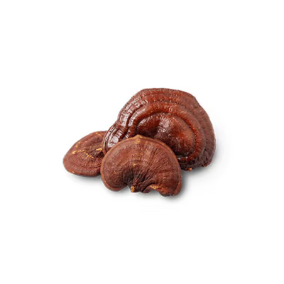 Reishi Mushroom 30% Extract