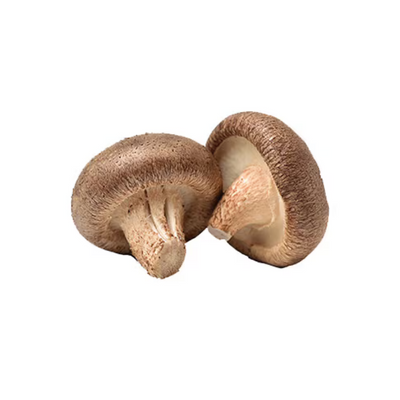 Shiitake Mushroom 4:1 Extract
