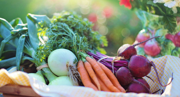 8 Vegan Nutrition Facts All Vegans Should Know