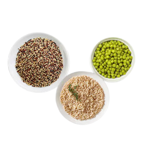 What's Actually in Vegan Protein Powder? A Label-Reading Guide
