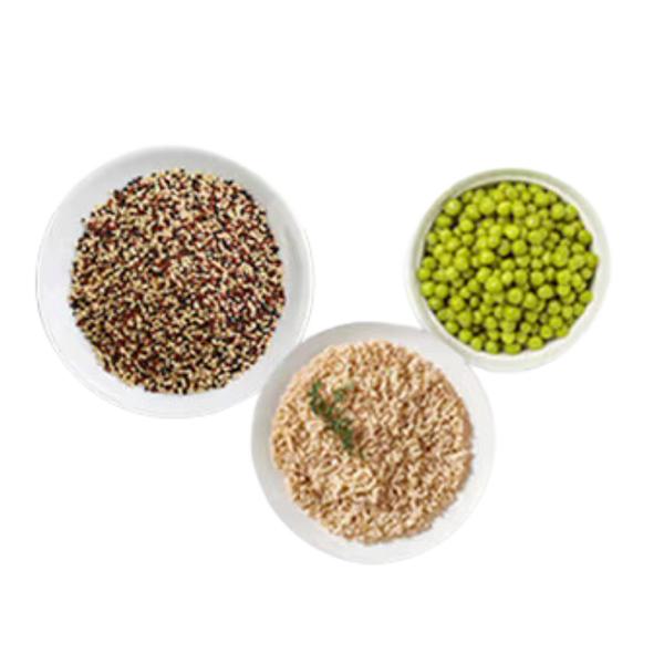 What's Actually in Vegan Protein Powder? A Label-Reading Guide