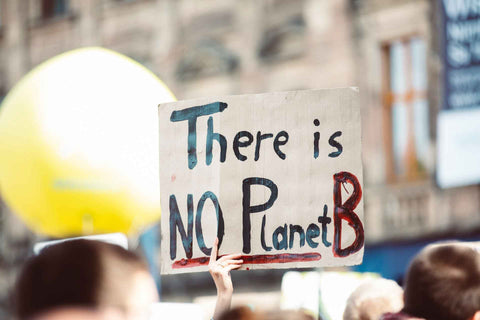 17 Environmental Benefits Of Veganism (As Proven By Science)