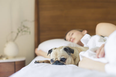 How Long Does Melatonin Last in Your System? (3mg, 5mg, 10mg Half Life Info)
