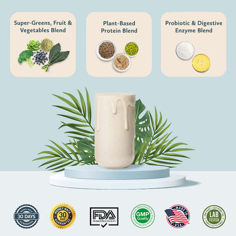 Plant-Powered Meal Shake - Stevia Free Formula