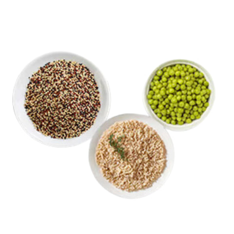 Plant-Based Protein Blend